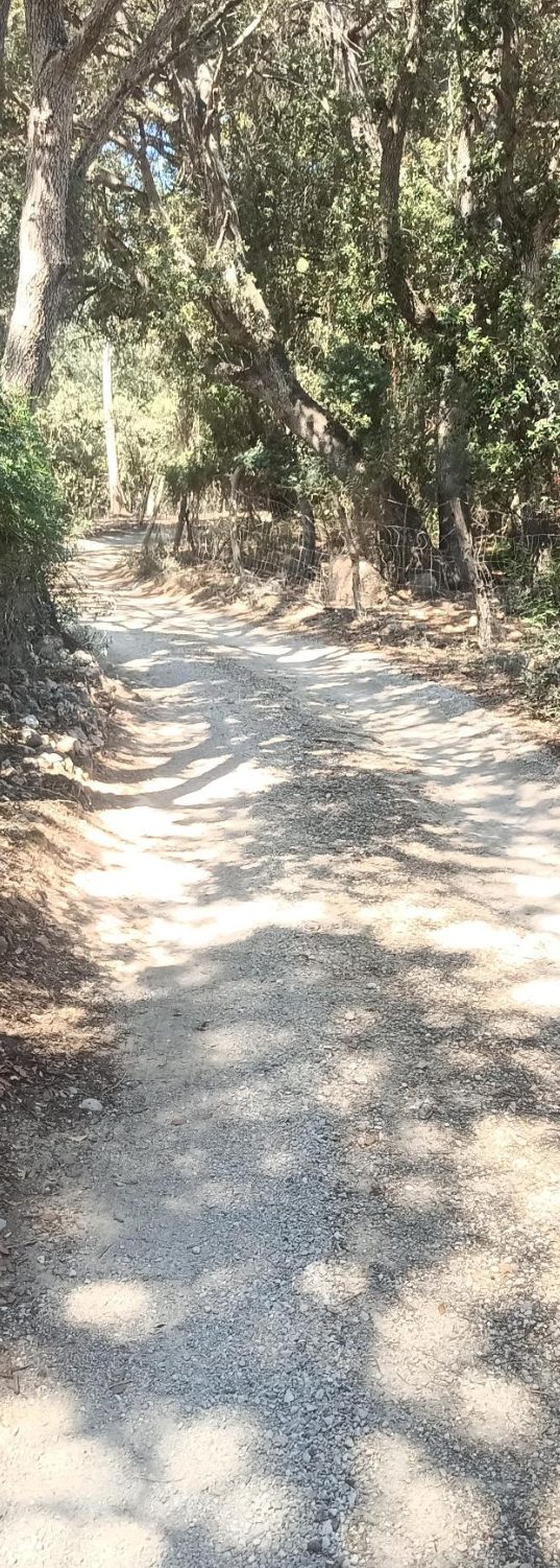 Gravel Bike Gravel bike rental Gravel Camps Mallorca bike guide gravel guide gravel bike hire gravel mallorca training camps training camps 