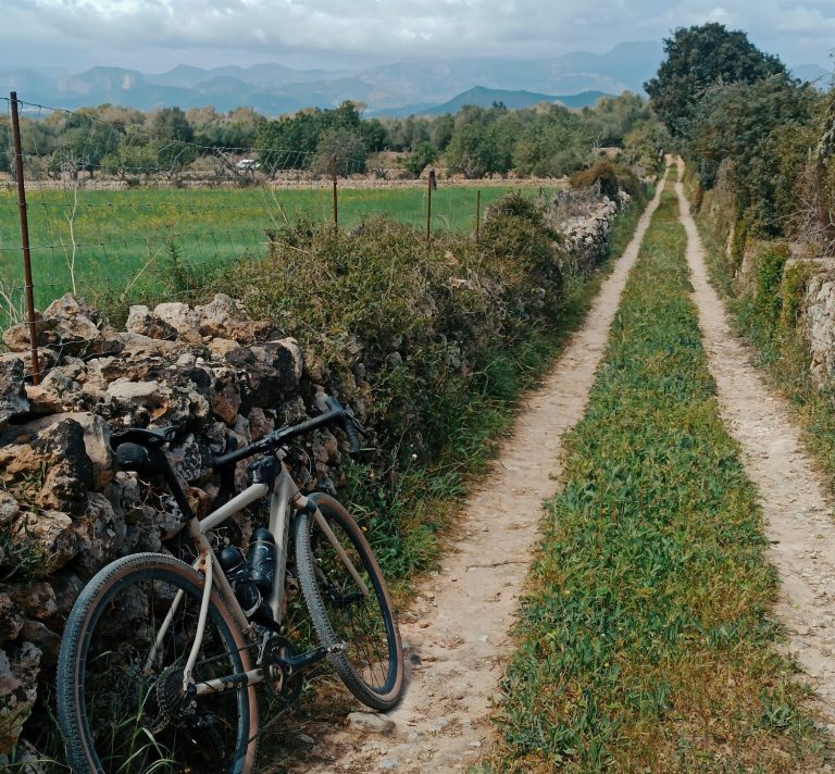 Gravel Bike Gravel bike rental Gravel Camps Mallorca bike guide gravel guide gravel bike hire gravel mallorca training camps training camps 